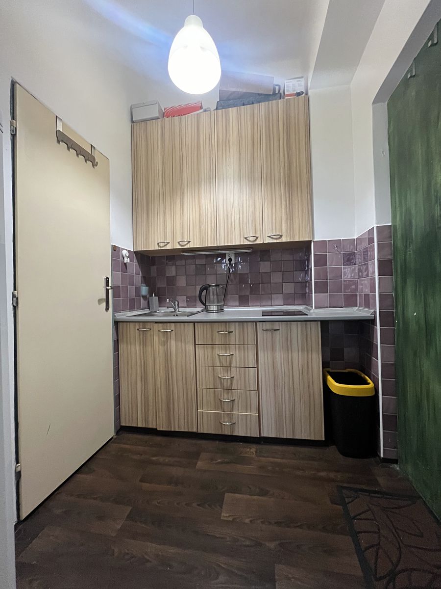 Pronájem bytu 1+kk 25 m² – fotografie 5