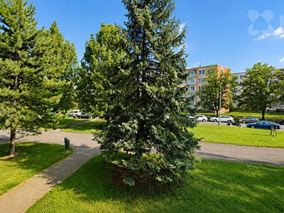 Квартира 2+kk в оренду, 40 м² (3 з 18)