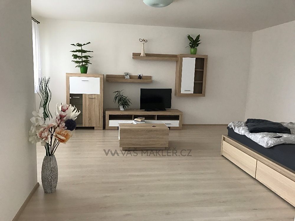 Pronájem bytu 1+kk 48 m²