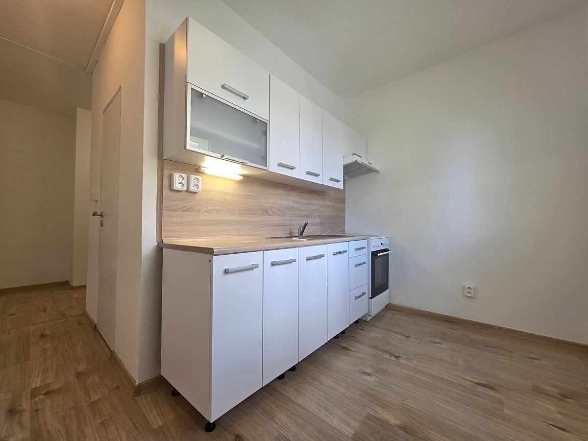 Pronájem bytu 2+1 53 m²