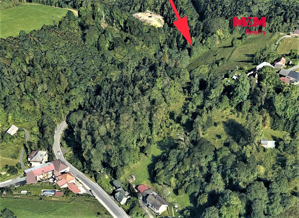 Prodej lesa 3547 m² – fotografie 3