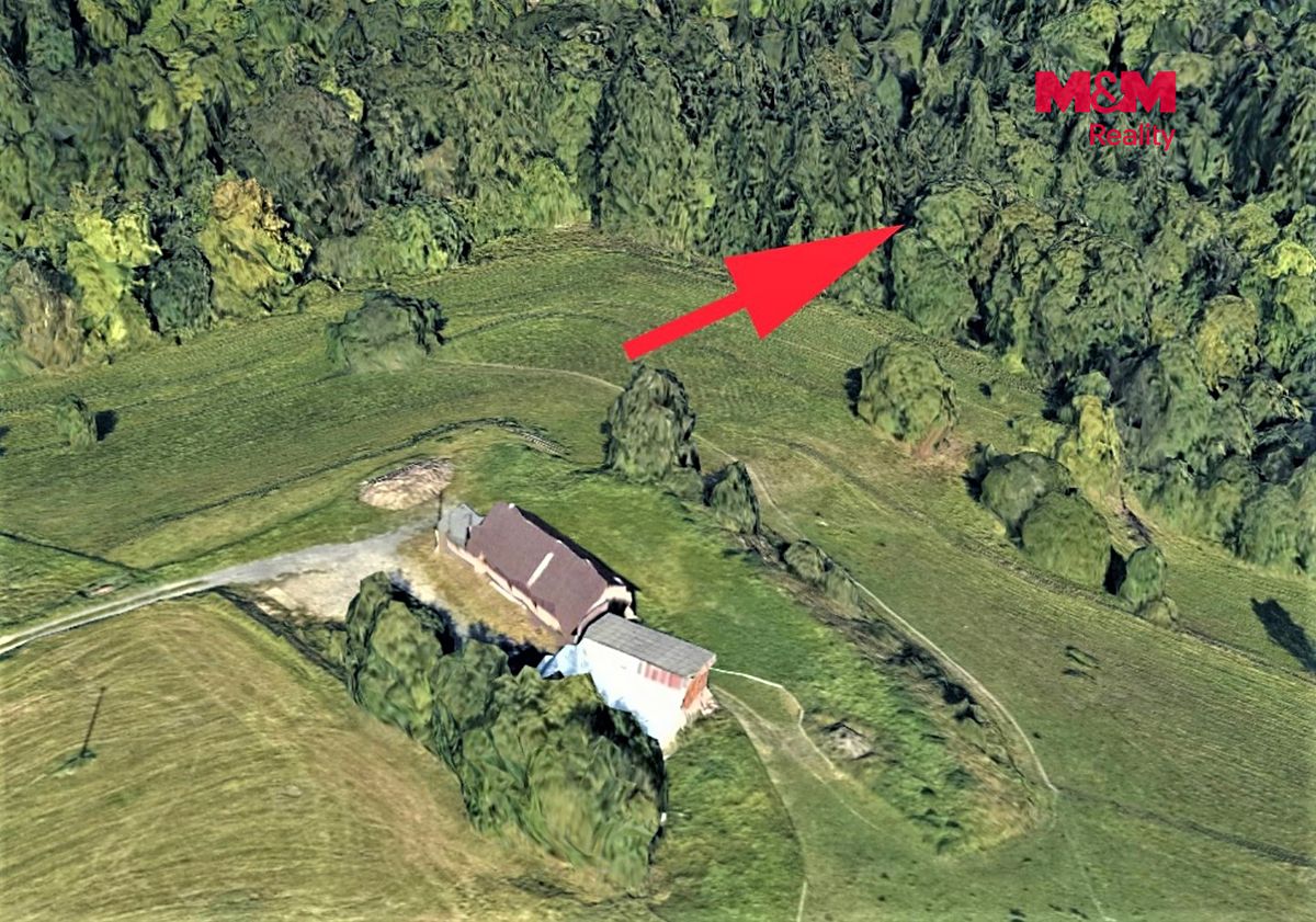 Prodej lesa 2693 m² – fotografie 3