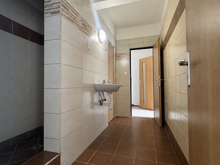 Pronájem bytu 1+1, 45 m² (10 z 15)