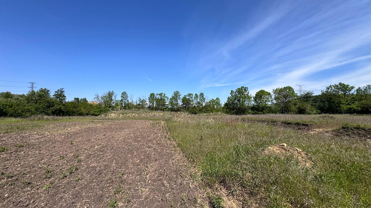 Prodej stavebního pozemku 689 m² – fotografie 5
