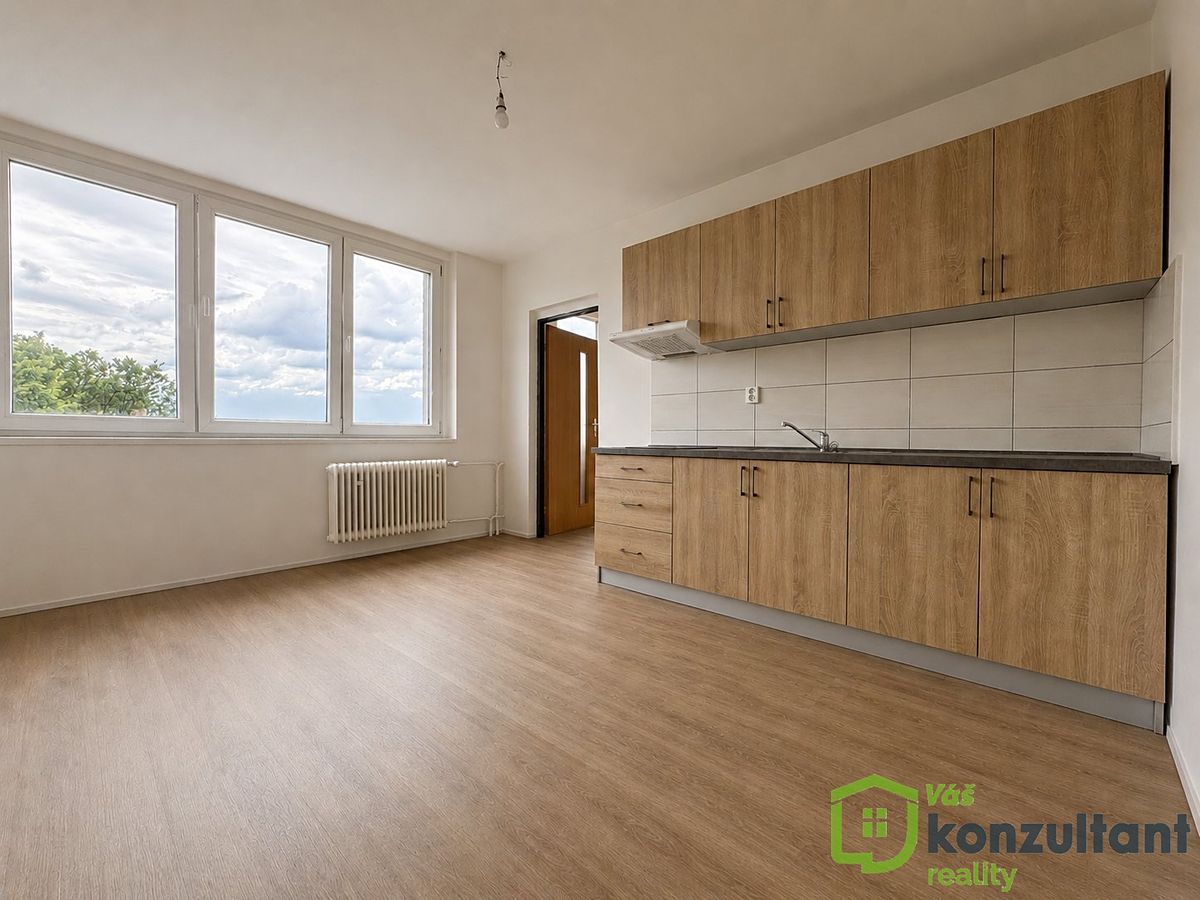 Pronájem bytu 1+1 45 m² – fotografie 4