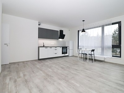 Pronájem bytu 2+kk 66 m²