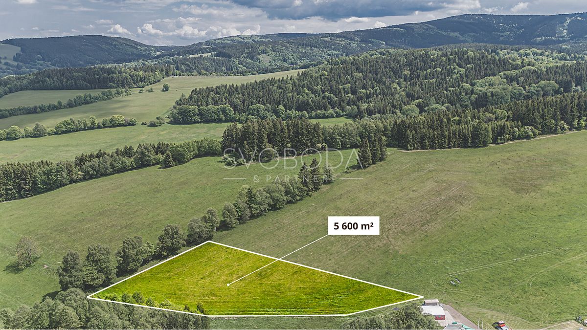 Prodej stavebního pozemku 5600 m² – fotografie 2