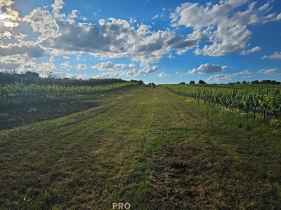 Prodej  stavebního pozemku 800 m²