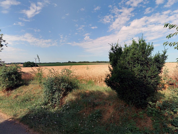 Ostatní
