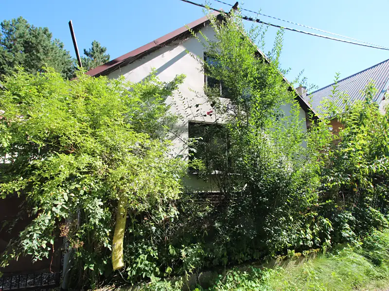Prodej rodinného domu 75 m², pozemek 144 m², Svojšice – náhled fotky 1