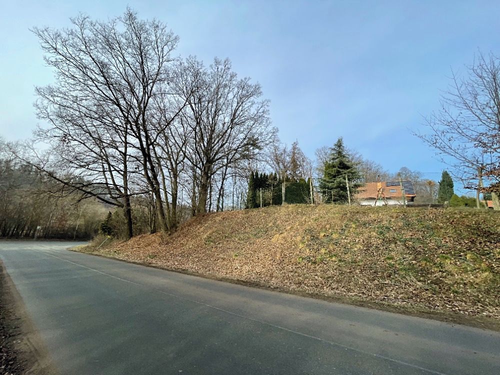 Prodej lesa 133 m² – fotografie 3