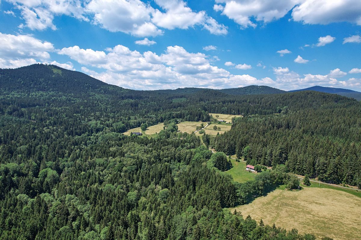 Prodej stavebního pozemku 2169 m² – fotografie 3