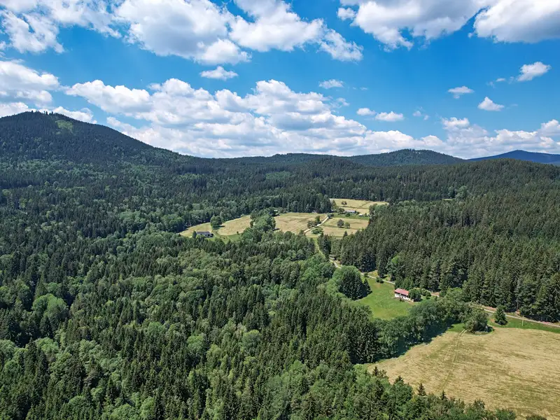 Prodej stavebního pozemku 2169 m², Volary – náhled fotky 3