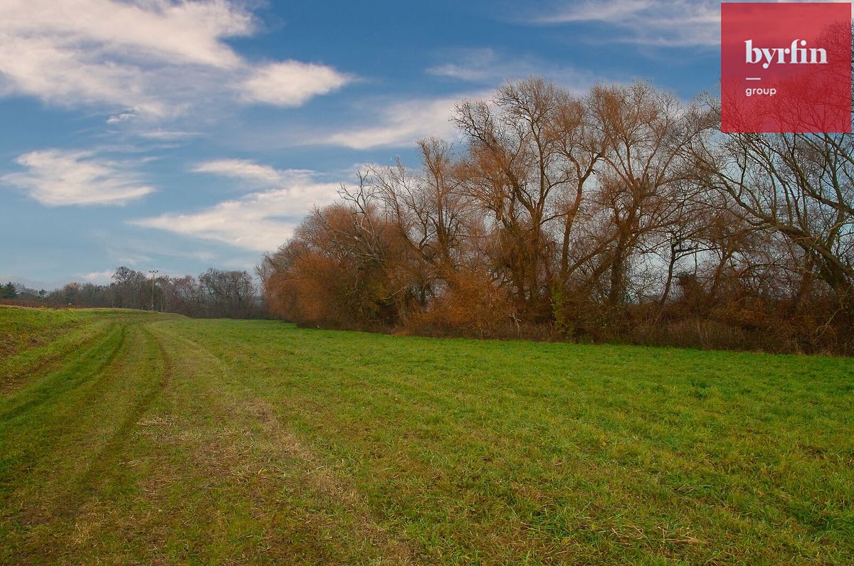 Prodej pole 604 m² – fotografie 2