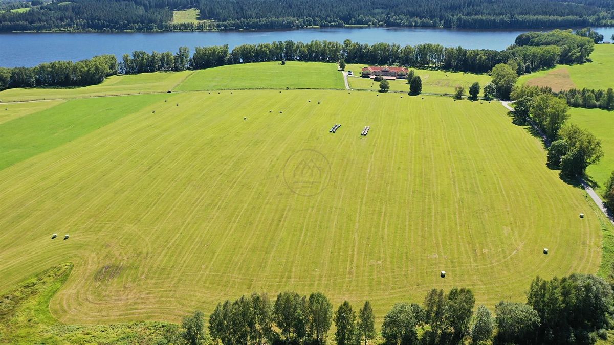 Prodej pole 92549 m²