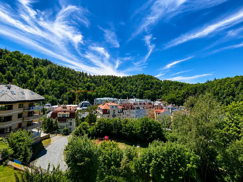 Prodej bytu 2+1 62 m², Karlovy Vary – náhled fotky 1