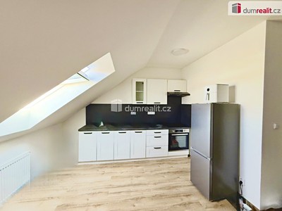 Pronájem bytu 1+kk 50 m²