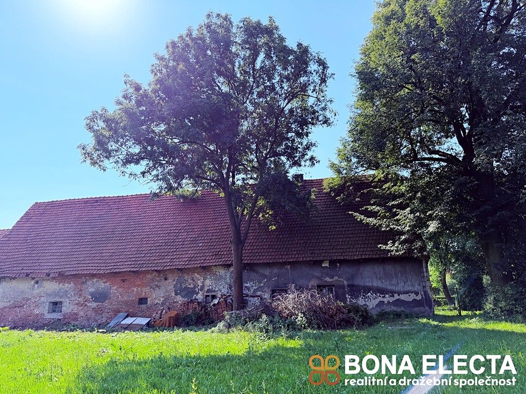 Prodej zemědělské usedlosti 120 m², pozemek 9429 m² – fotografie 2