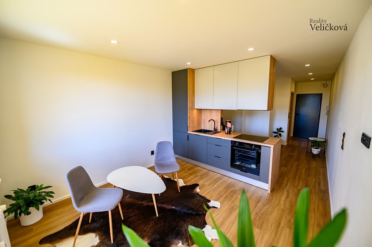 Pronájem bytu 1+kk 31 m²