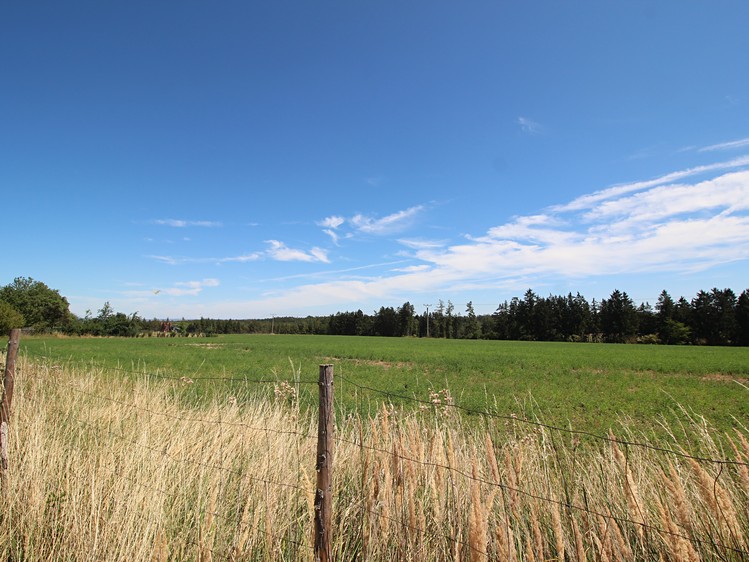 Grundstück zum Kauf, 1.017 m² (43 von 45)