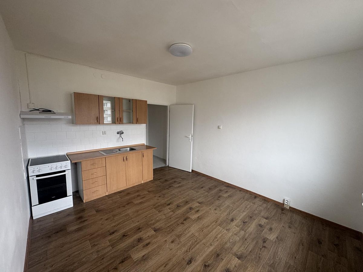 Pronájem bytu 1+kk 19 m² – fotografie 4