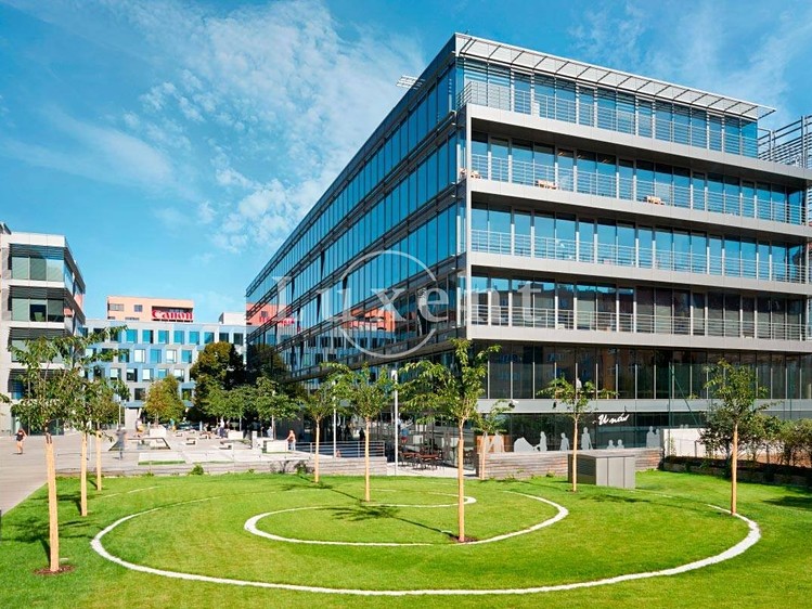 Комерційне приміщення в оренду, 330 м² (7 з 8)