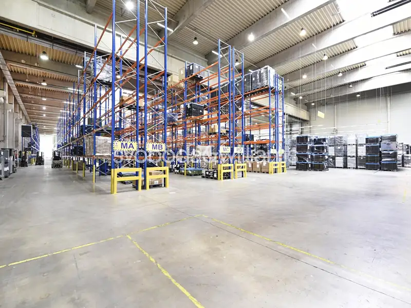 Pronájem výrobní haly, prostoru 7670 m², Litovel – náhled fotky 2