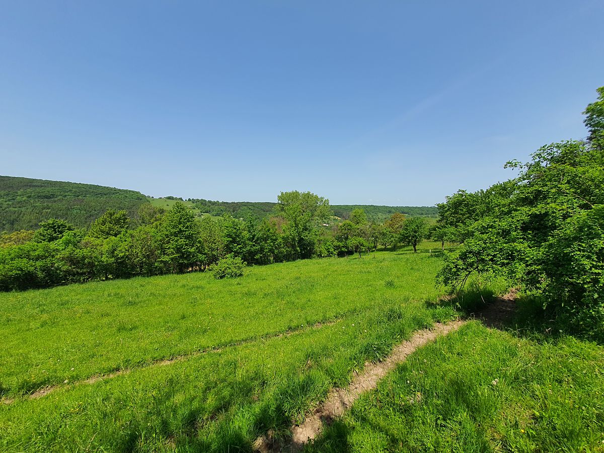 Prodej rodinného domu 80 m², pozemek 12265 m² – fotografie 4