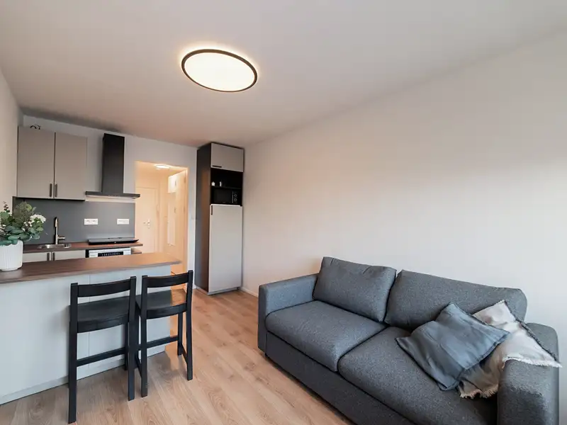 Prodej bytu 1+kk 24 m², Praha – náhled fotky 2