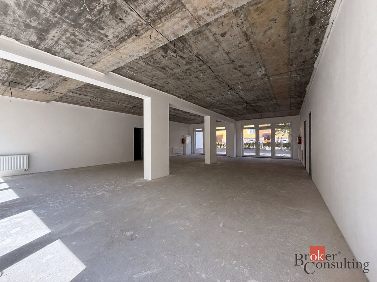 Prodej obchodního prostoru 124 m² – fotografie 5
