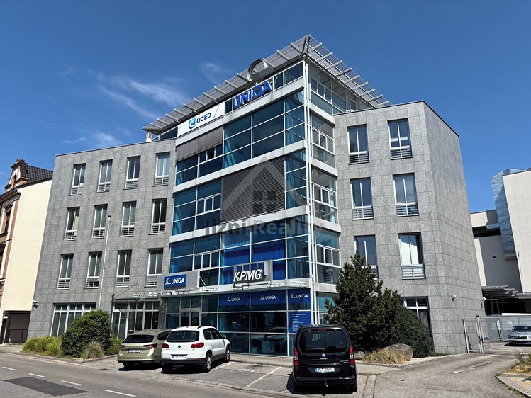 Gewerbefläche zur Miete, 250 m² (1 von 13)
