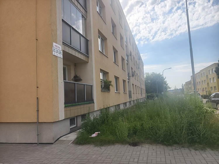 Prodej bytu 4+1, 92 m² (2 z 31)