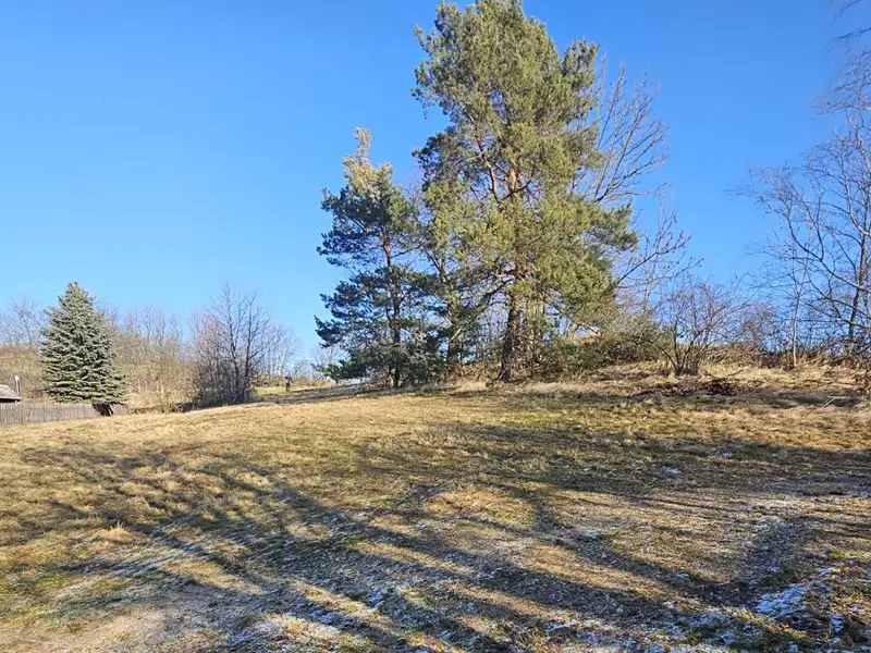 Prodej louky 668 m², Lipová – náhled fotky 2