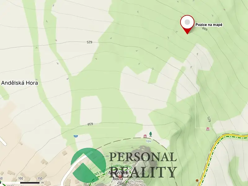 Prodej louky 9593 m², Andělská Hora – náhled fotky 2