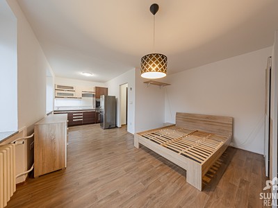 Pronájem bytu 1+kk 30 m²