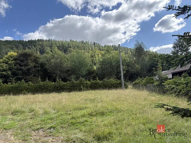 Prodej stavebního pozemku 1099 m², Holčovice – náhled fotky 3