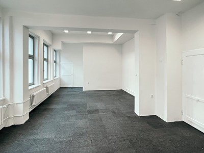 Pronájem komerčního prostoru, 44 m² (2 z 7)