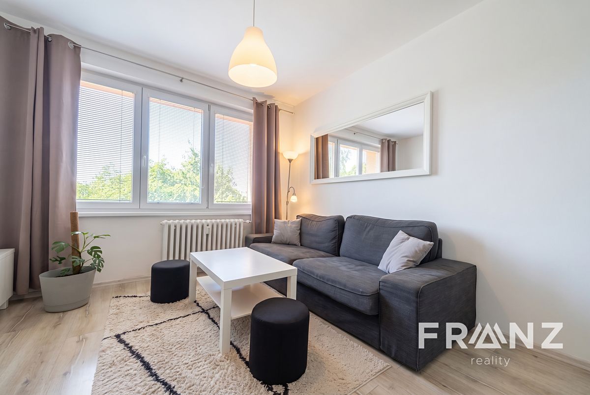 Pronájem bytu 1+1 39 m²