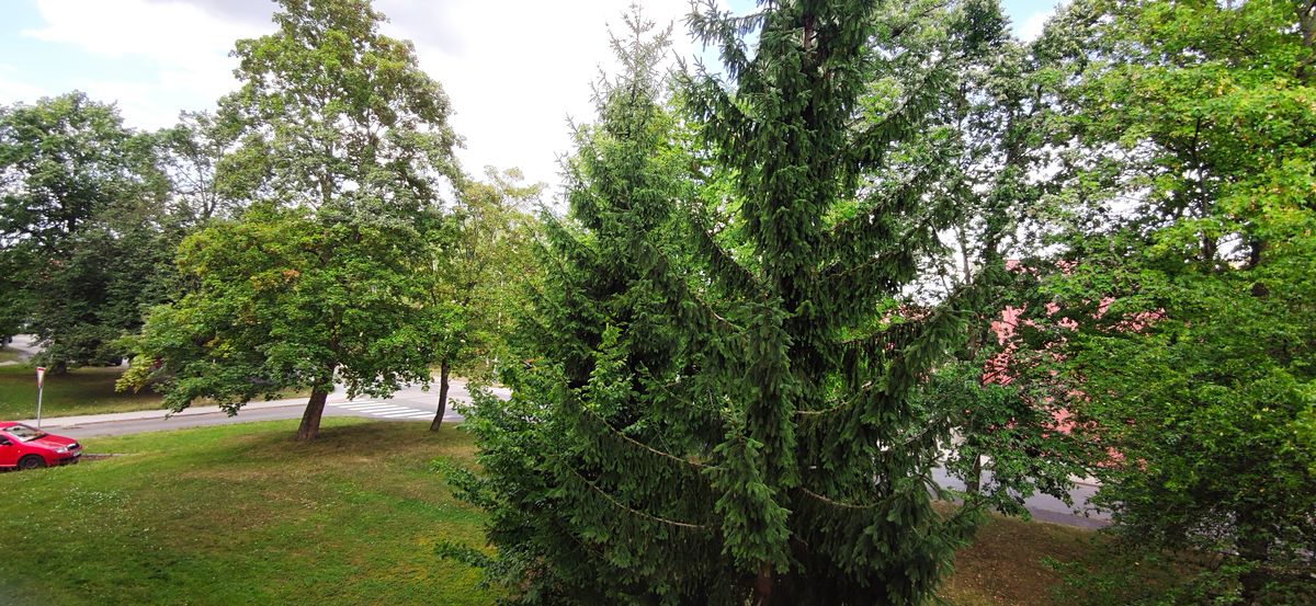 Prodej bytu 1+1 32 m² – fotografie 2