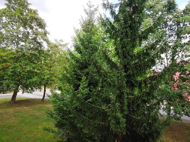Prodej bytu 1+1 32 m², Kladno – náhled fotky 2