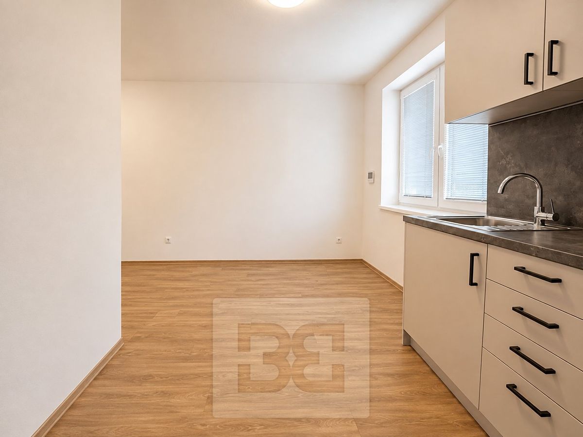Pronájem bytu 2+1 50 m²