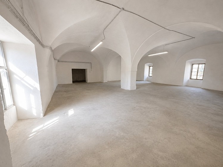 Pronájem komerčního prostoru, 605 m² (10 z 15)