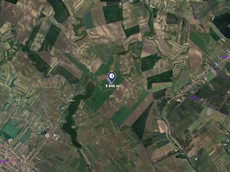 Prodej pole 8646 m², Čejkovice – náhled fotky 2