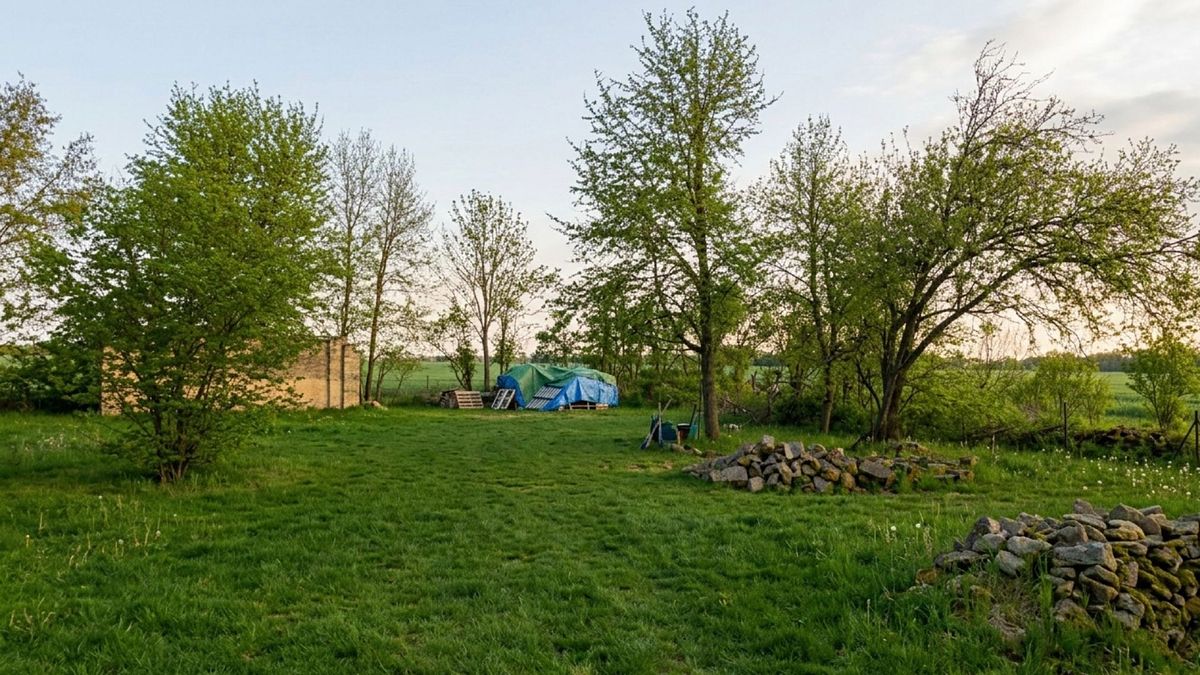 Prodej stavebního pozemku 1300 m², Chorušice – fotka 1 z 3
