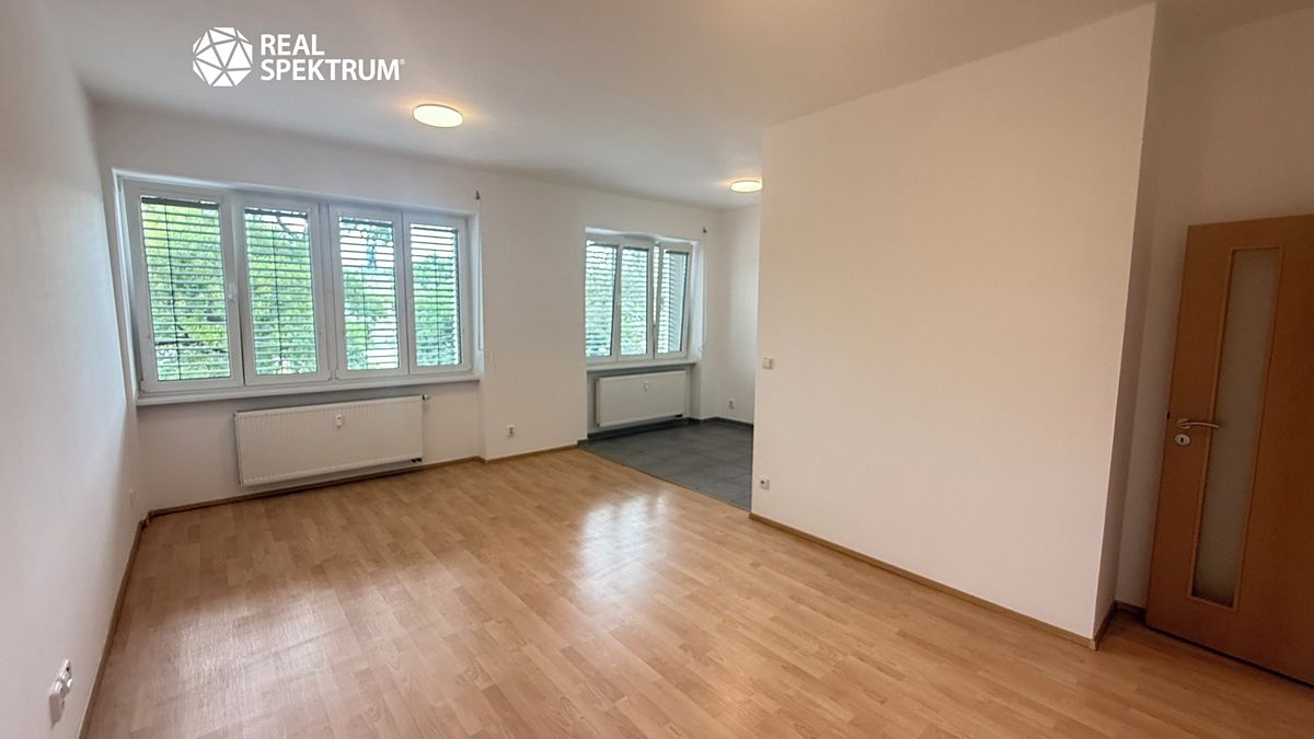 Pronájem bytu 1+kk 41 m²