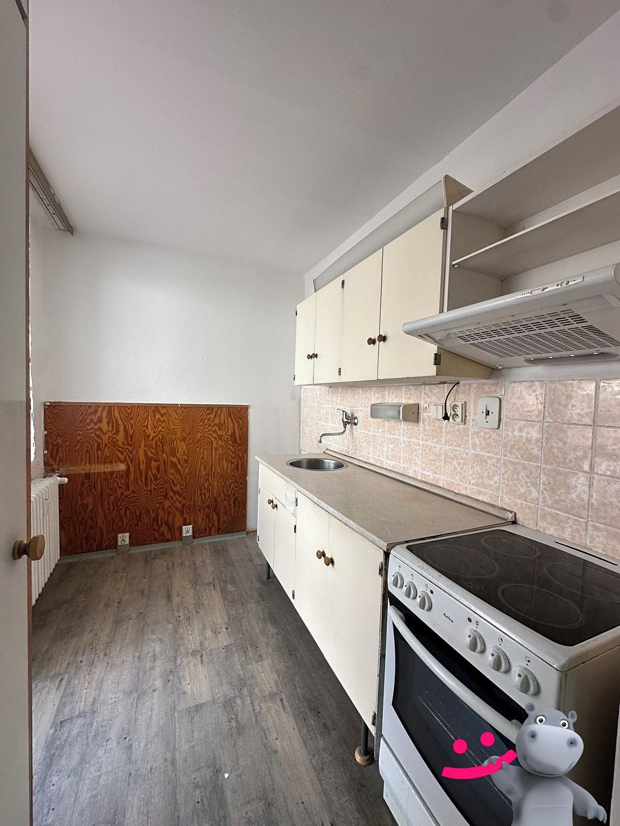 Prodej bytu 3+1 54 m² – fotografie 3