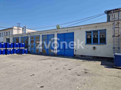 Pronájem komerční nemovitosti 250 m²