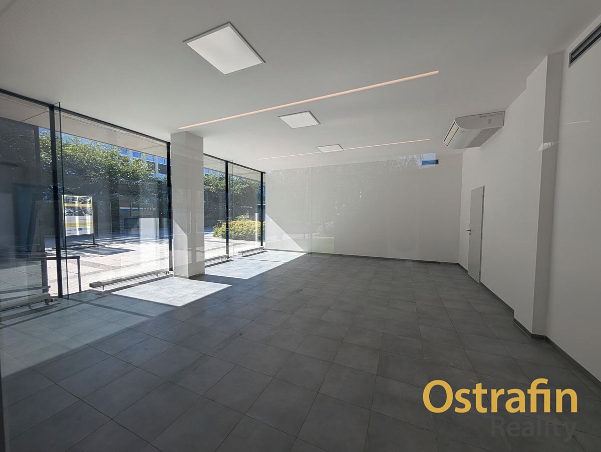 Pronájem obchodního prostoru 150 m² – fotografie 3