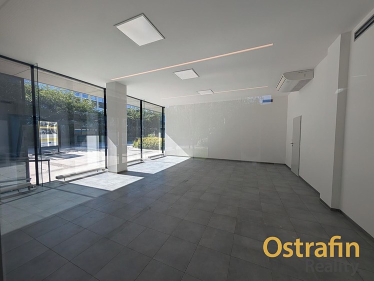 Pronájem komerčního prostoru, 150 m² (3 z 21)