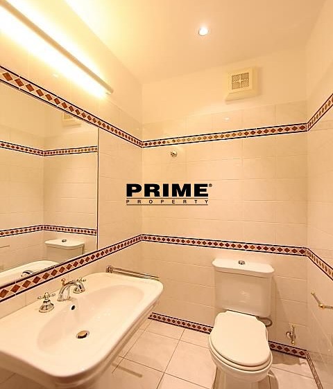 Pronájem bytu 4+kk, 195 m² (24 z 30)